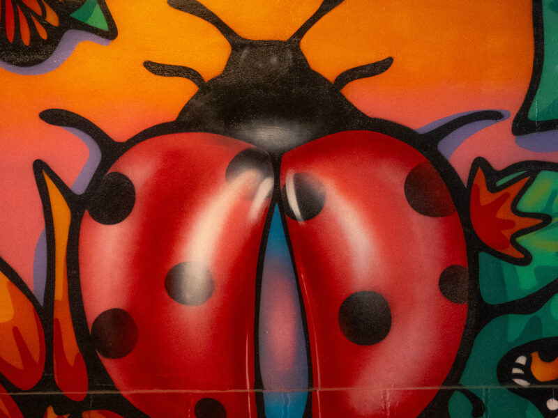 Mariquita Copas